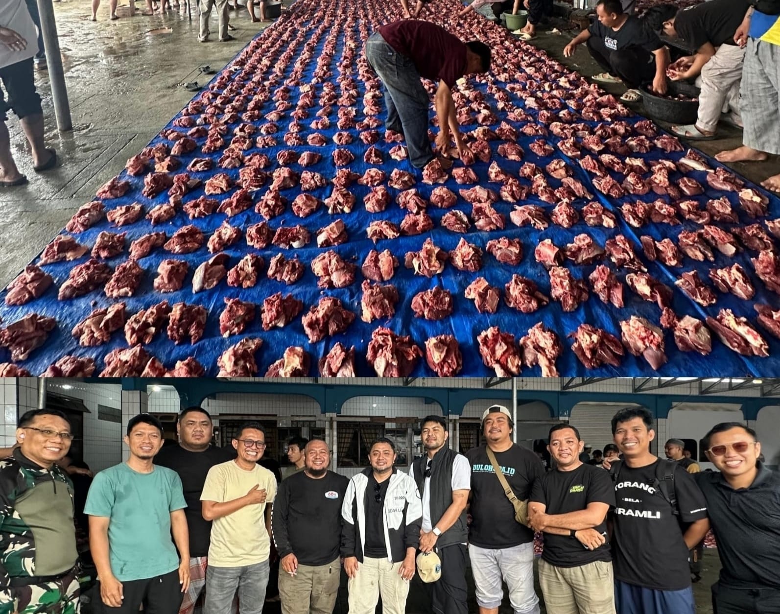 Sapi Kurban Gorontalo