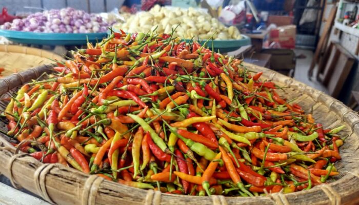 Harga Cabai Rawit Tembus Rp 130 Ribu/Kg di Gorontalo