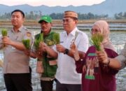 Sekda Iwan Optimis Bone Bolango jadi Sentra Padi Organik
