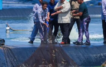 Presiden Prabowo Targetkan Indonesia jadi Produsen Udang Nomor Satu Dunia