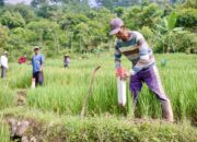 Pasang Patok, Cara Cegah Sengketa Tanah dengan Tetangga