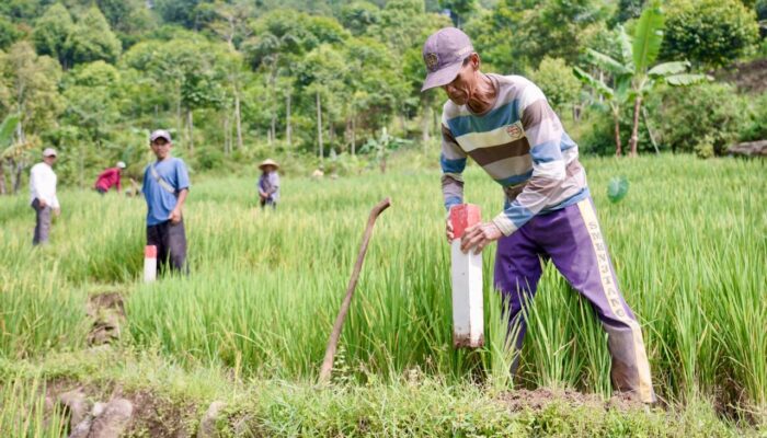 Pasang Patok, Cara Cegah Sengketa Tanah dengan Tetangga