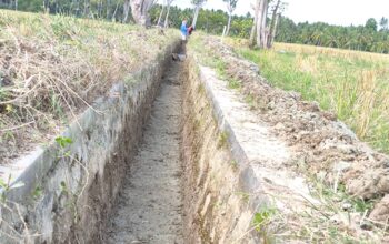Penambang Paguat