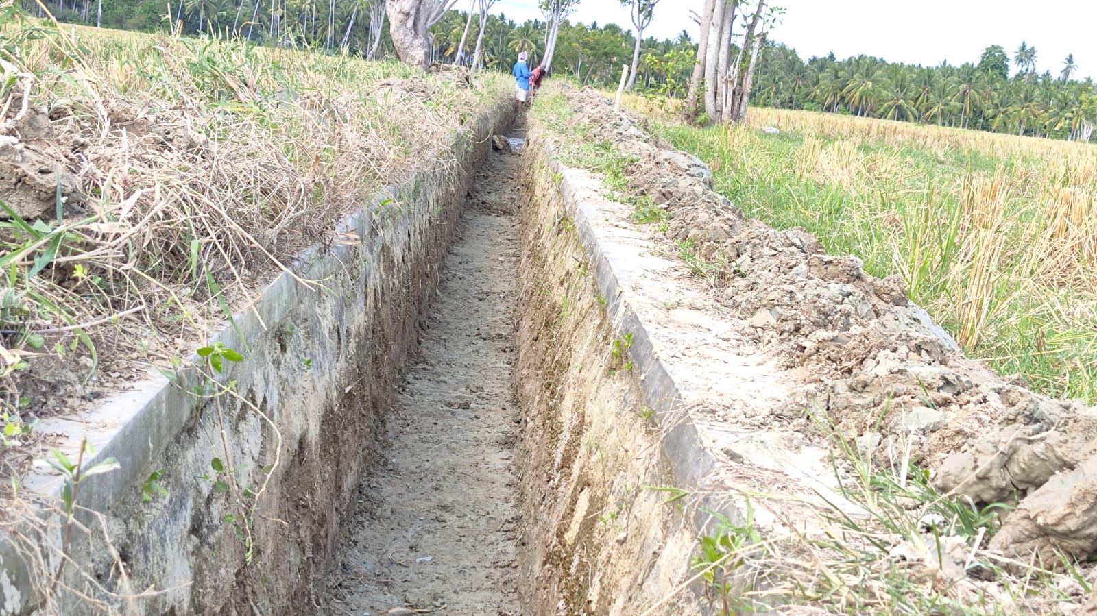 Penambang Paguat