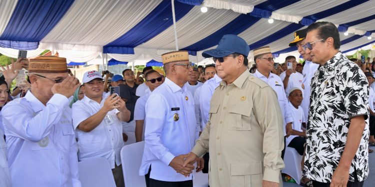 Program KNMP