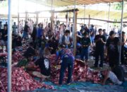 101 Ekor Sapi Kurban Disembelih di Pantungo, 8.500 Kupon Dibagikan ke Warga