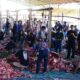 101 Ekor Sapi Kurban Disembelih di Pantungo, 8.500 Kupon Dibagikan ke Warga
