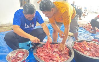 Qurban BTN