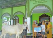 Jumlah Hewan Kurban di Kota Gorontalo Capai 1.395 Ekor