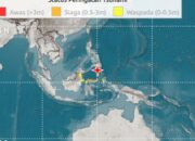 Tsunami Gempa