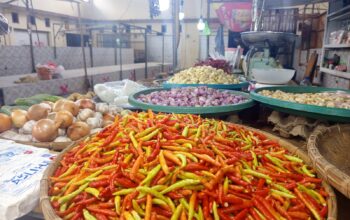 Harga Cabai Bawang