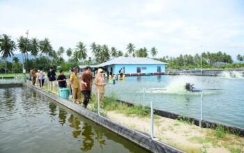 Wagub Gorontalo Matangkan Kesiapan Lokasi Peserta PENAS Tani dan Nelayan