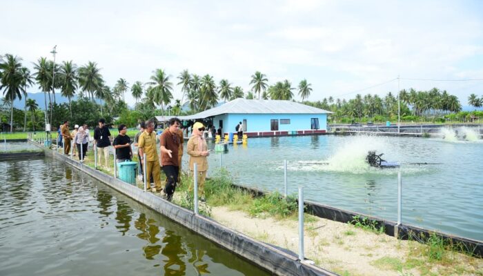 Wagub Gorontalo Matangkan Kesiapan Lokasi Peserta PENAS Tani dan Nelayan