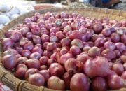 Harga Bawang Merah