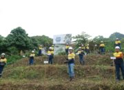 Gorontalo Minerals