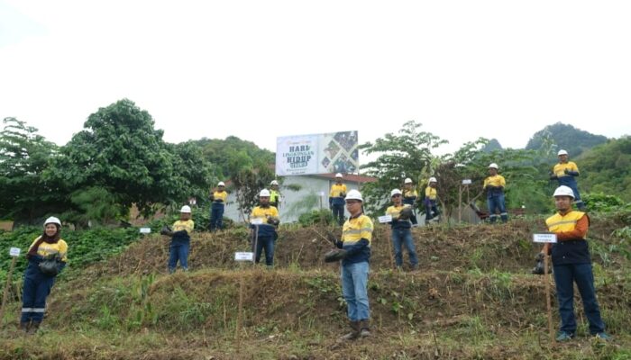 Tanam 1.000 Pohon di Area Konsensi, PT Gorontalo Minerals Pilih Tanaman Cepat Tumbuh untuk Pulihkan Lahan