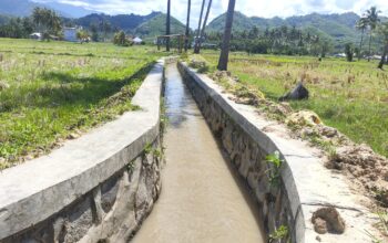 Petani Paguat