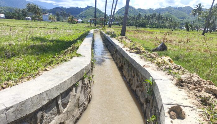 Petani di Paguat Senang, Drainase di Persawahan kembali Normal usai Dibersihkan Tim IR