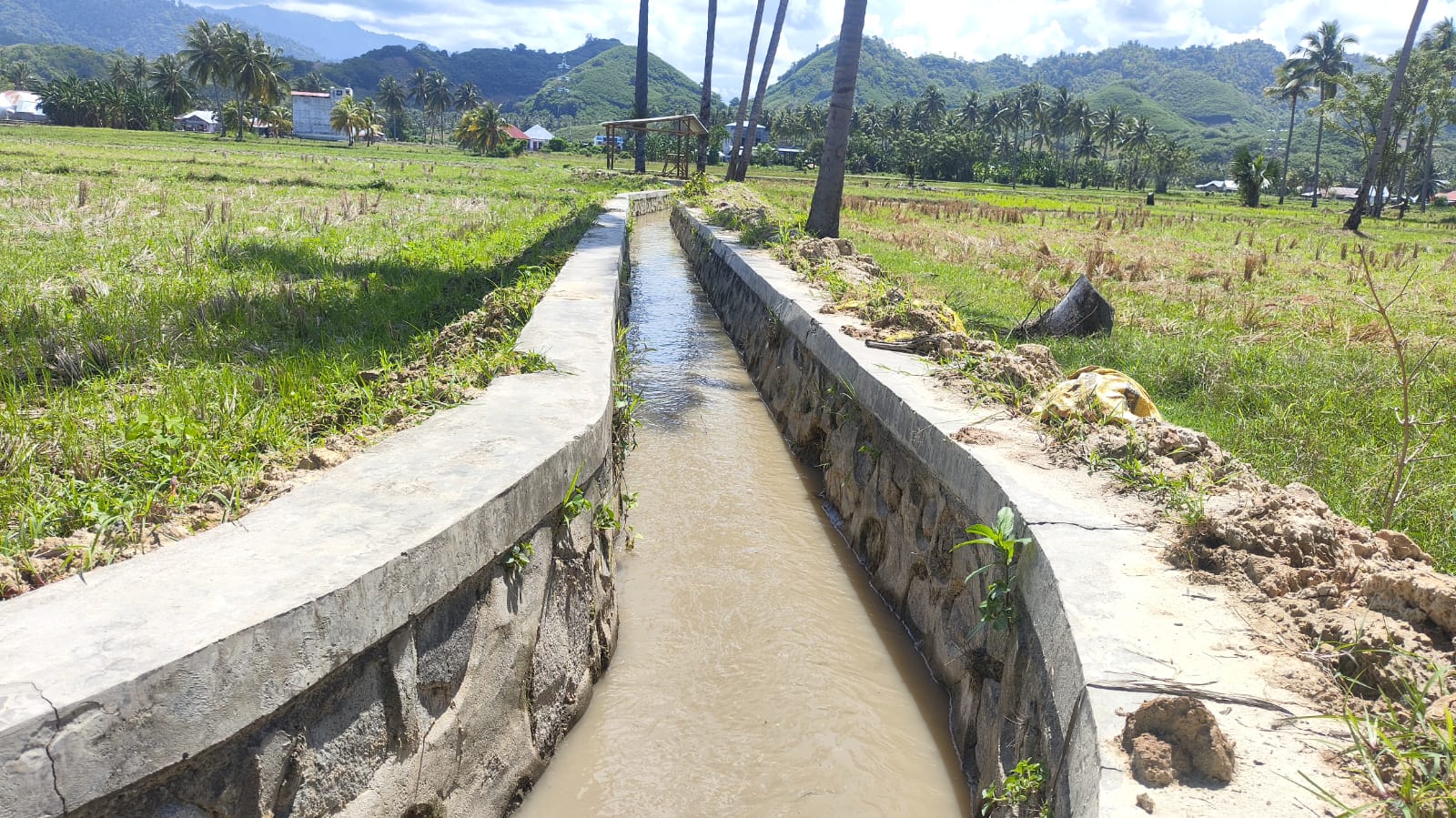Petani Paguat