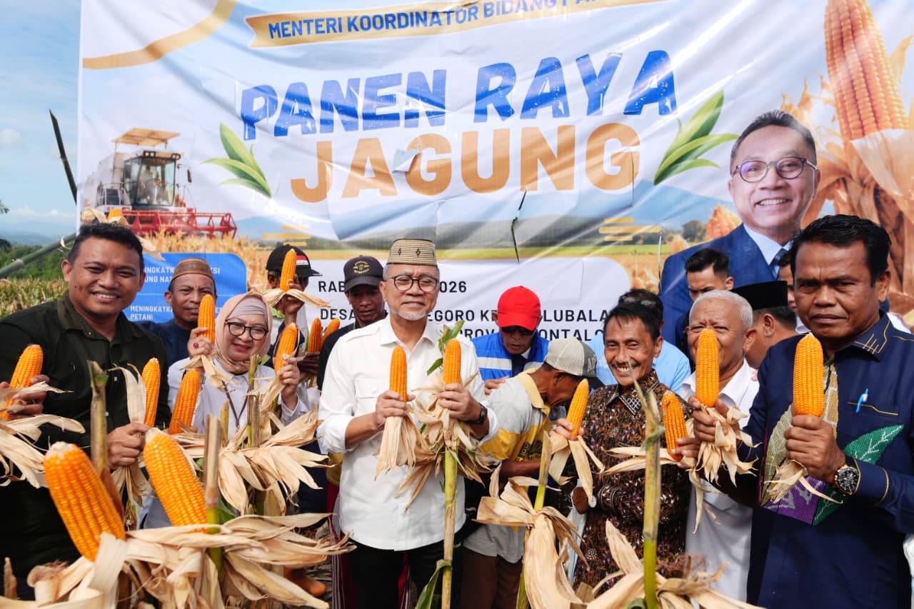 Menko Panen Jagung