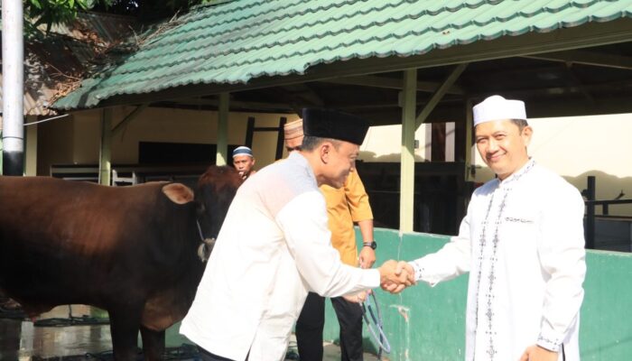 Kapolda Gorontalo Pimpin Pelaksanaan Penyembelihan Puluhan Hewan Kurban