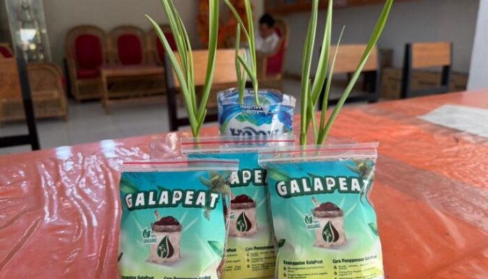 Mahasiswa KKN UNG Sulap Limbah Sabut Kelapa jadi Media Tanam Bernilai EKonomi