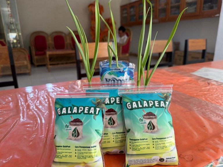 Sabut Kelapa