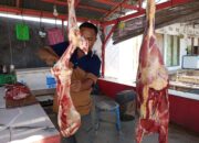 Awal Juli 2026: Daging Sapi Rp 150/kg, Ayam Potong Rp 70/ekor