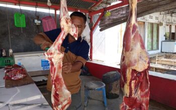 Harga Daging Sapi