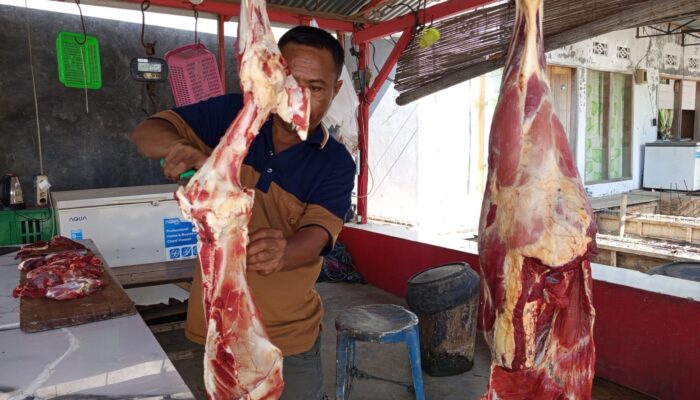 Awal Juli 2026: Daging Sapi Rp 150/kg, Ayam Potong Rp 70/ekor