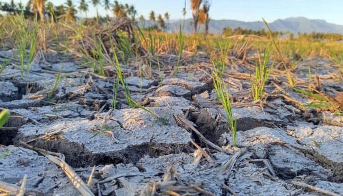 Waspada! BMKG: Musim Kemarau di Gorontalo Bisa 8 Bulan