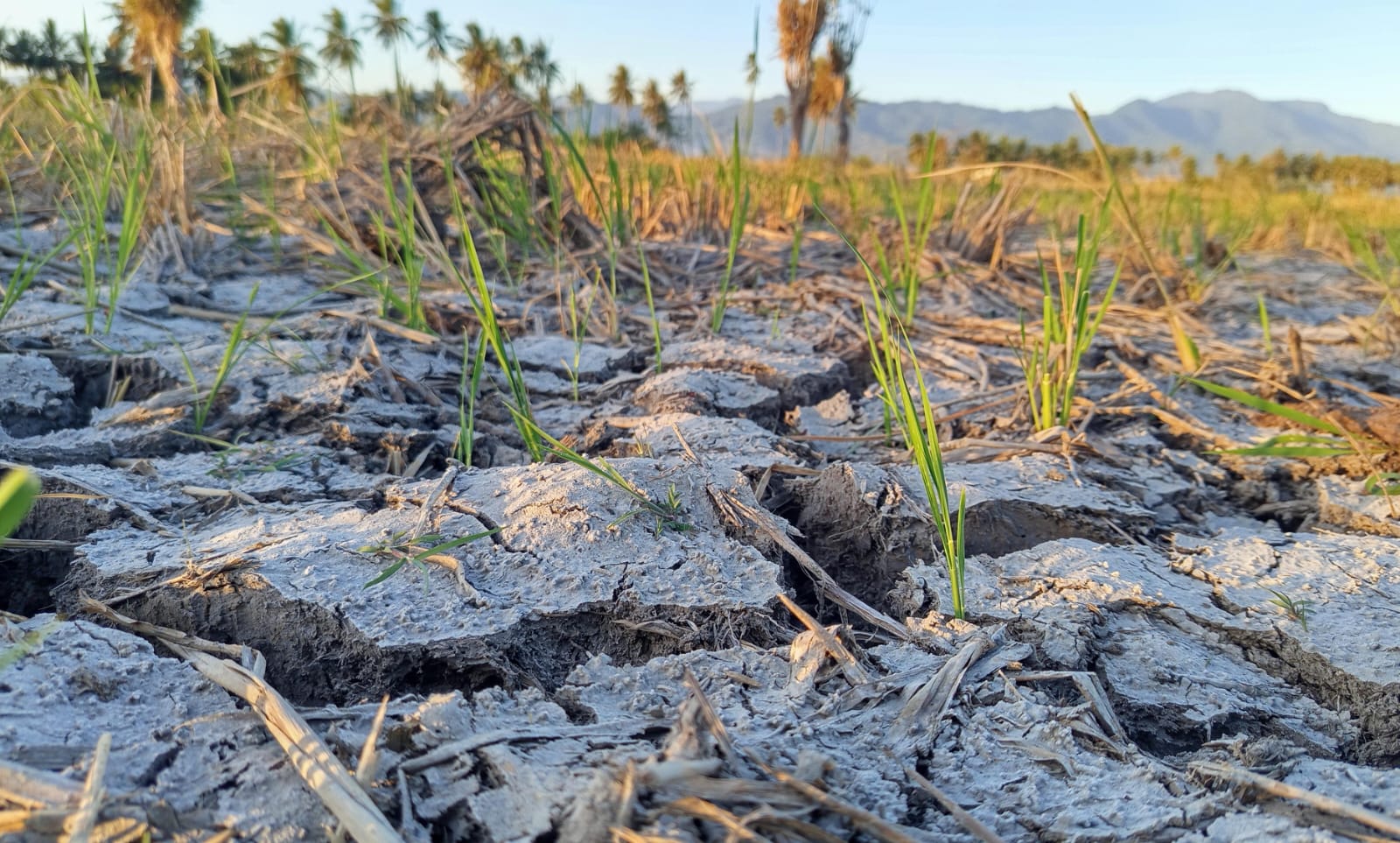 Kemarau Gorontalo 2026