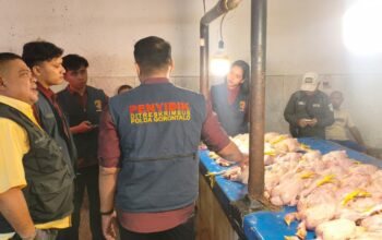 Harga Daging Ayam