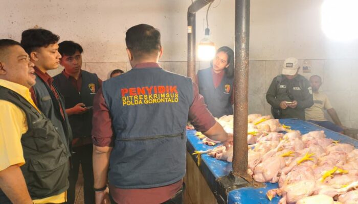 Pantau Stok Daging Ayam, Polda Gorontalo Temukan Penjualan di Atas Harga Acuan