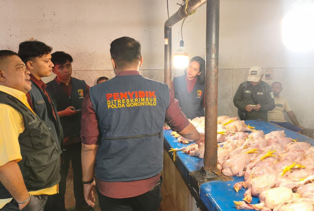 Harga Daging Ayam