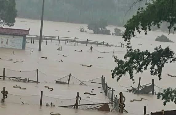 Banjir China