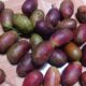 Manfaat dan Efek Samping Buah Matoa
