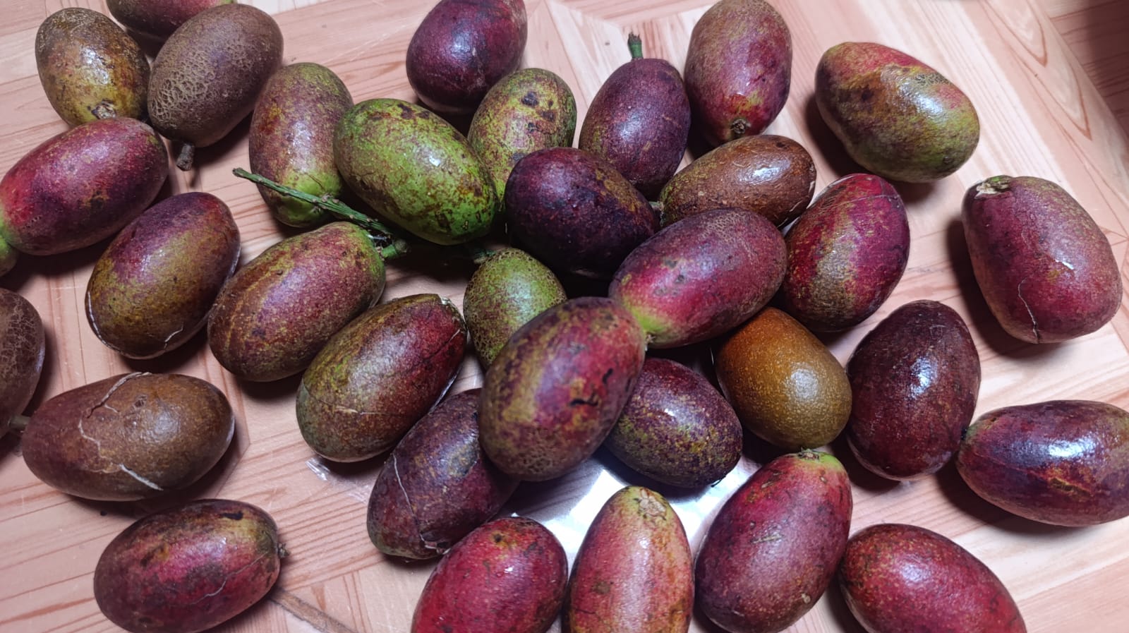 buah-matoa-Gorontalo-dulohupa.id