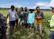 Petani Pohuwato