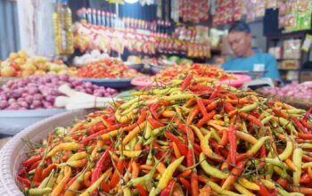 Harga Cabai Gorontalo