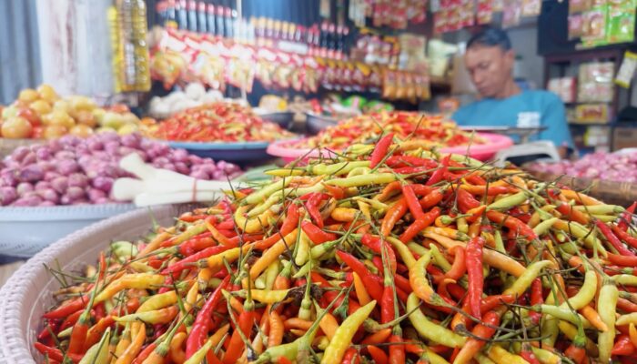Harga Cabai Rawit di Gorontalo Terus Meroket, Capai Rp110 Ribu/Kg