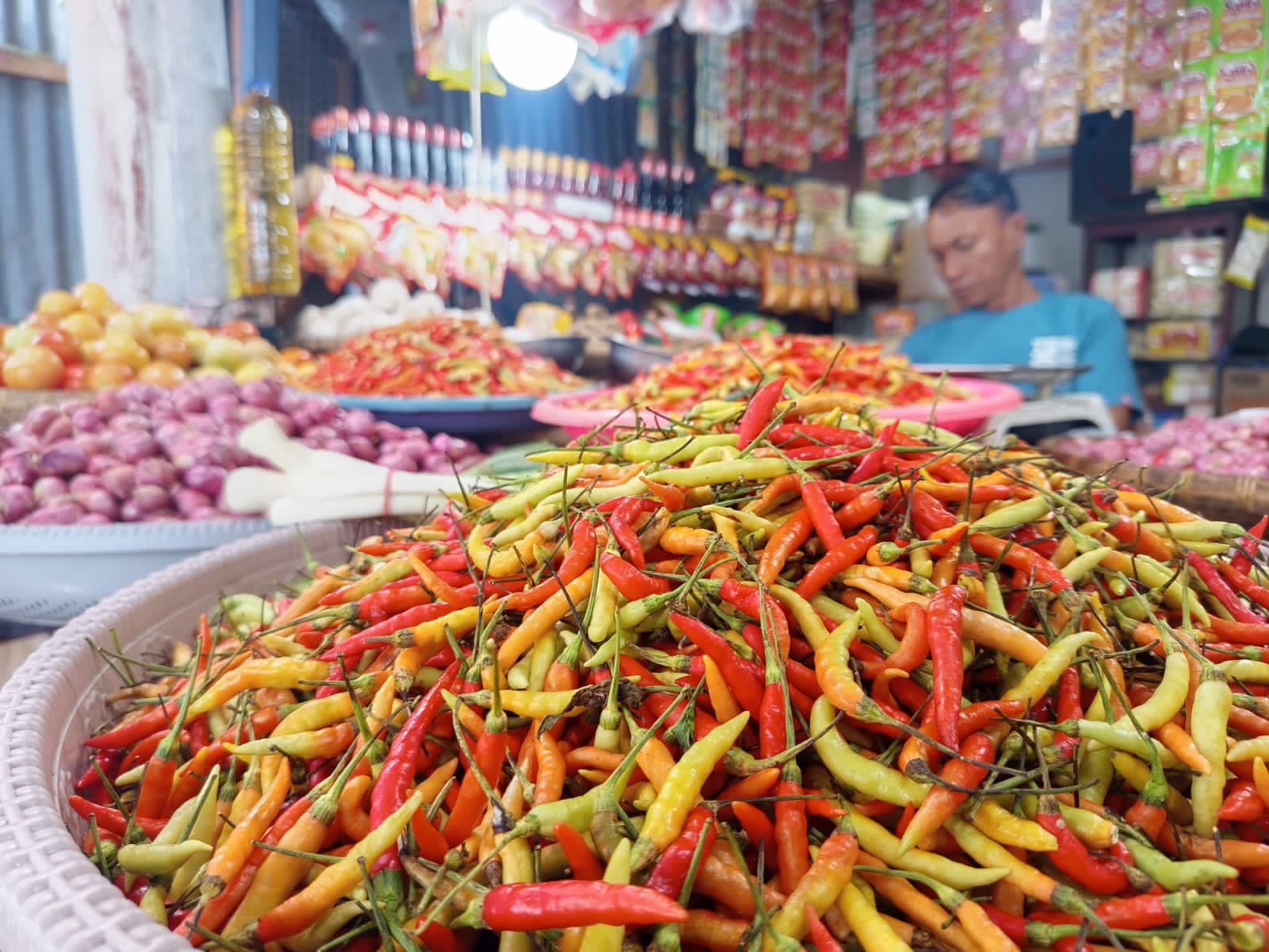Harga Cabai Gorontalo