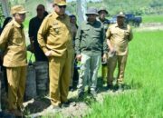 Program Cetak Sawah Baru di Pohuwato jadi Strategi Perkuat Ketahanan Pangan