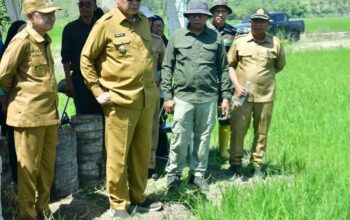 Cetak Sawah Baru