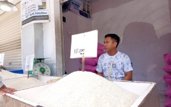 Harga Beras