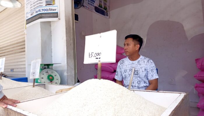 Awal Agustus 2026, Harga Beras Gorontalo Tembus Rp800 Ribu/Koli