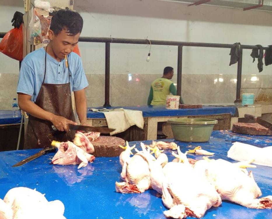 Harga Daging Ayam