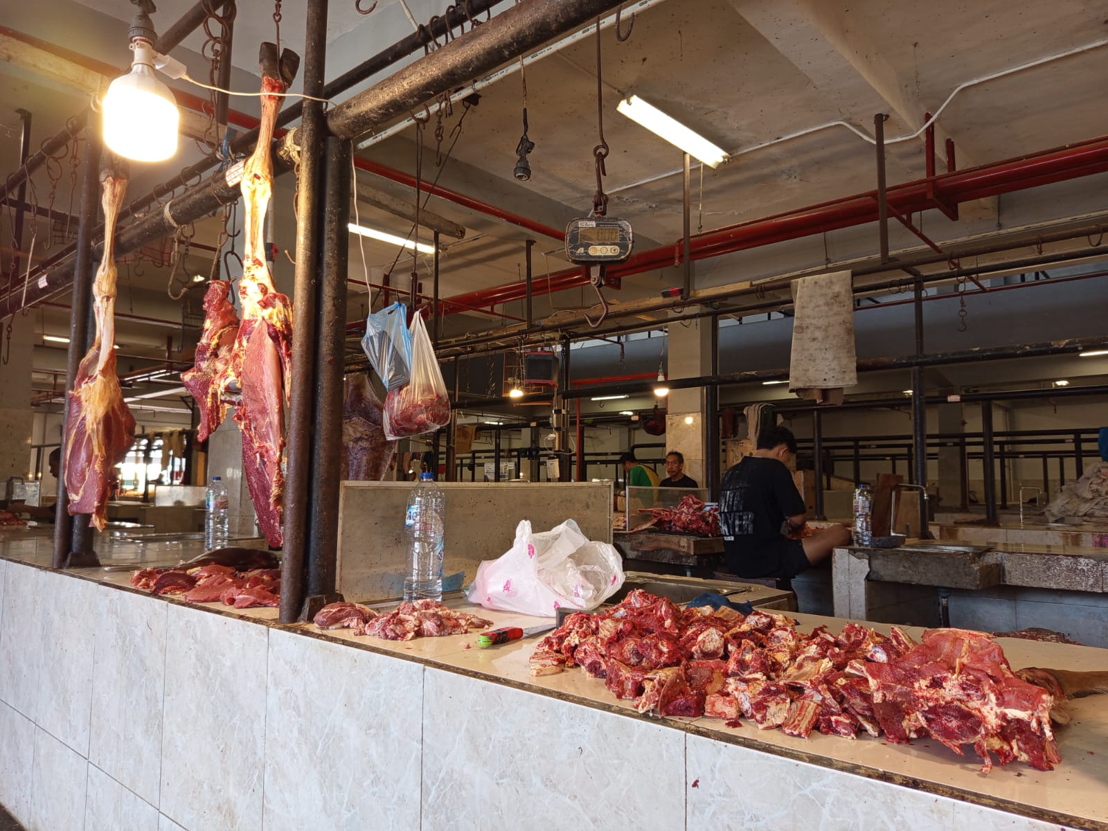 Harga Daging Sapi
