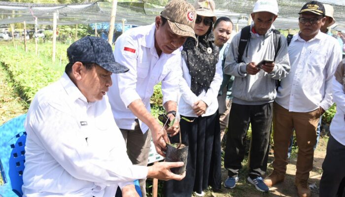 Gubernur Gusnar Targetkan November 2026, Satu Juta Bibit Kakao Disalurkan ke Petani Boalemo