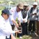 Gubernur Gusnar Targetkan November 2026, Satu Juta Bibit Kakao Disalurkan ke Petani Boalemo
